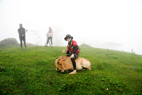 Vang Vieng: Full-Day Jungle Trek, Cave & Waterfall Tour