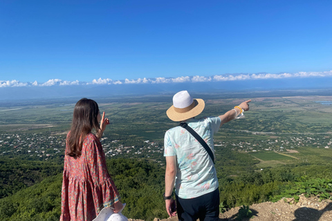 Tbilissi : Visite privée des vignobles de Kakheti avec déjeuner en famille