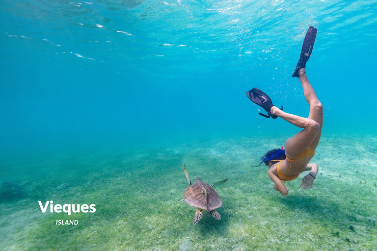 Fajardo: Vieques Island Snorkeling with Turtles Boat Tour