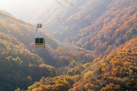 Busan: Discovery Tour With Snow &amp; UNESCO Spot