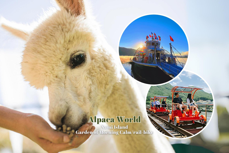 Seul: 1-dniowa wycieczka do Gangwon-do z Alpaca World i wyspą NamiWycieczka grupowa do ogrodu z Myengdong