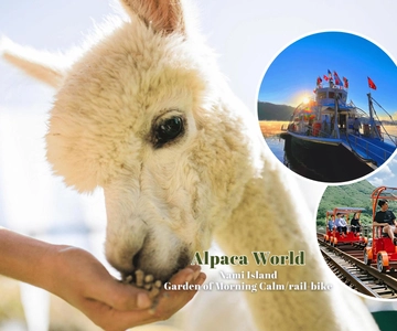 Сеул: однодневная поездка в Канвондо с Alpaca World и островом Нами
