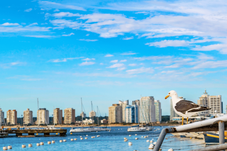 Montevideo: Punta del Este Landausflug in privat