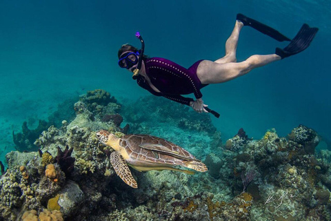 Nusa Penida Snorkeling & Scenic Island Tour from Bali Pick up from accommodation and port in nusa penida.