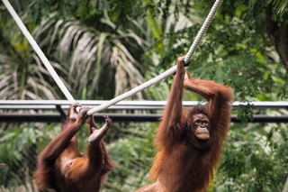 Freizeitparks in Bali: Tickets