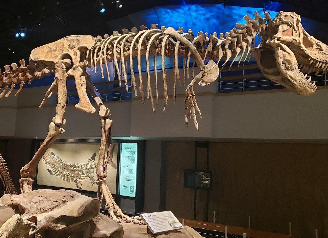 Badlands-tur: Drumheller med museum, hoodoos og dinosaurer