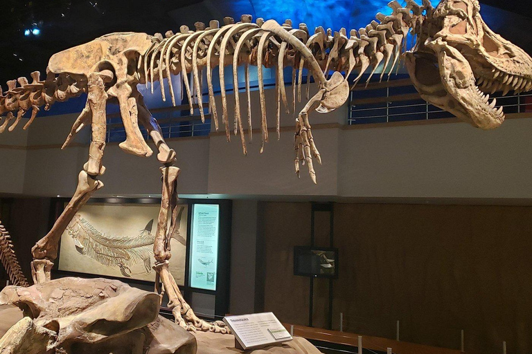 Badlands Tour: Drumheller with Museum, Hoodoos & Dinosaurs Booking Option for Summer 2026