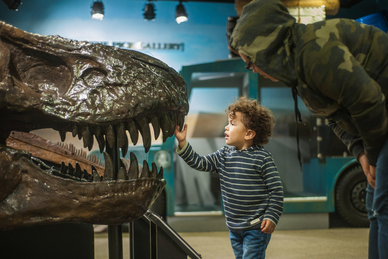 Chicago: Biglietto d&#039;ingresso al Museo dei bambini di Chicago