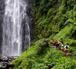 Aguas termales de Kikuletwa Chemka: Excursiones de un día desde Moshi