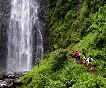 Materuni Waterfalls, Chemka Hot Springs, &/Or Coffee Tour
