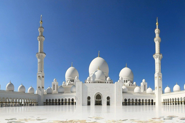 Desde Dubái: tour panorámico guiado de 1 día en Abu Dabi