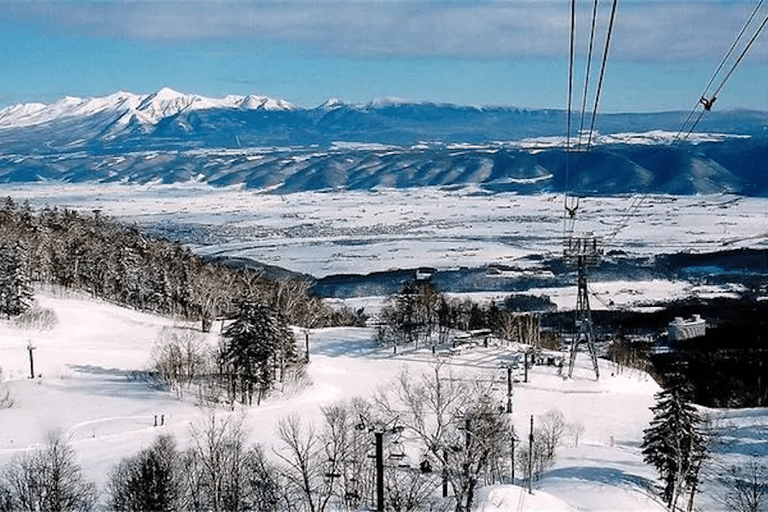 Viagem de 1 dia fretada de 10 horas a Hokkaido｜Furano