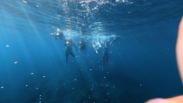 Zadar Influencer Island Tour- Drone footage underwater video