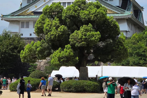 Osaka: Explore Cultural Gems with Pickup & Private Guide