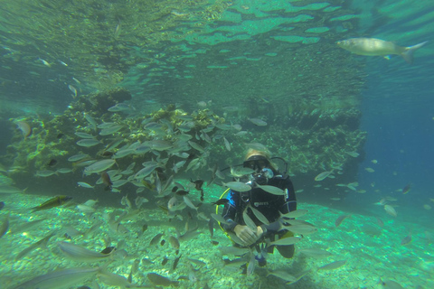 Marmaris: Beginner-Friendly Scuba Diving Tour Marmaris: Scuba Diving Without Hotel Transfer