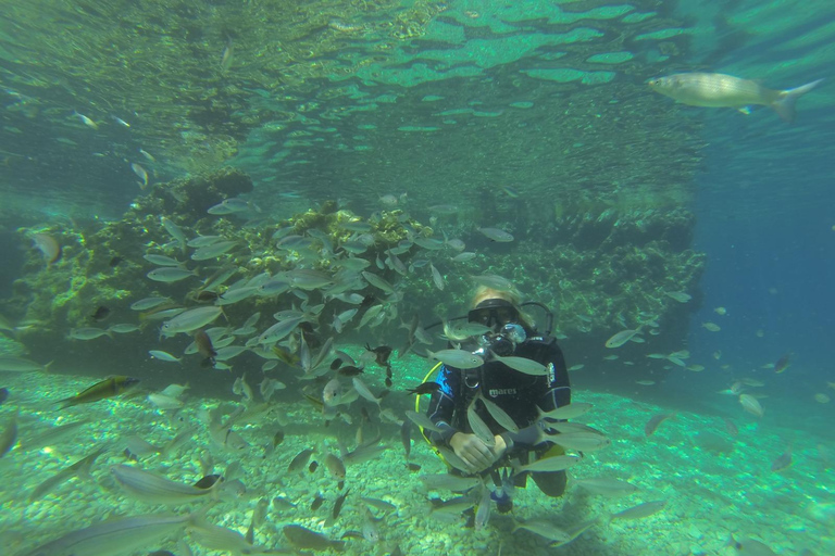 Marmaris: Beginner-Friendly Scuba Diving Tour Marmaris: Scuba Diving Without Hotel Transfer