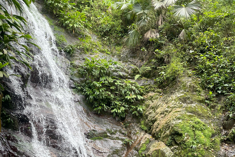 Minca: Coffee Farm and Hidden Waterfall Tour with Lunch