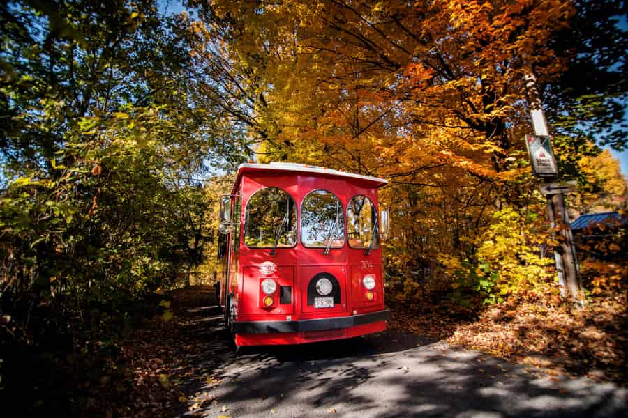 Kingston: Trolley-Tour durch die Herbstfarben mit Halt im Apfelgarten. Foto: GetYourGuide Kingston: Trolley-Tour durch die Herbstfarben mit Halt im Apfelgarten. Foto: GetYourGuide
