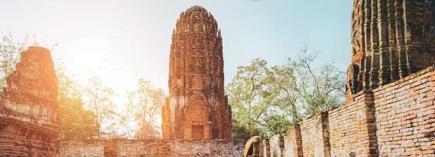 Bangkok: excursão privada de um dia ao Templo do Macaco de Ayutthaya e Lopburi