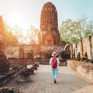 Bangkok: excursão privada de um dia ao Templo do Macaco de Ayutthaya e Lopburi