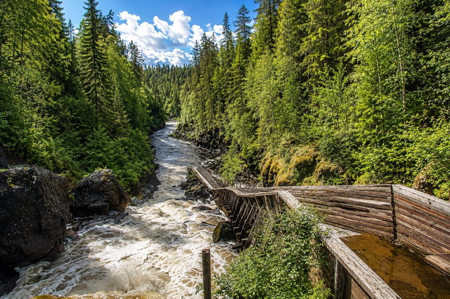 Rovaniemi: Auttiköngäs Waterfall Hike & Wilderness BBQ