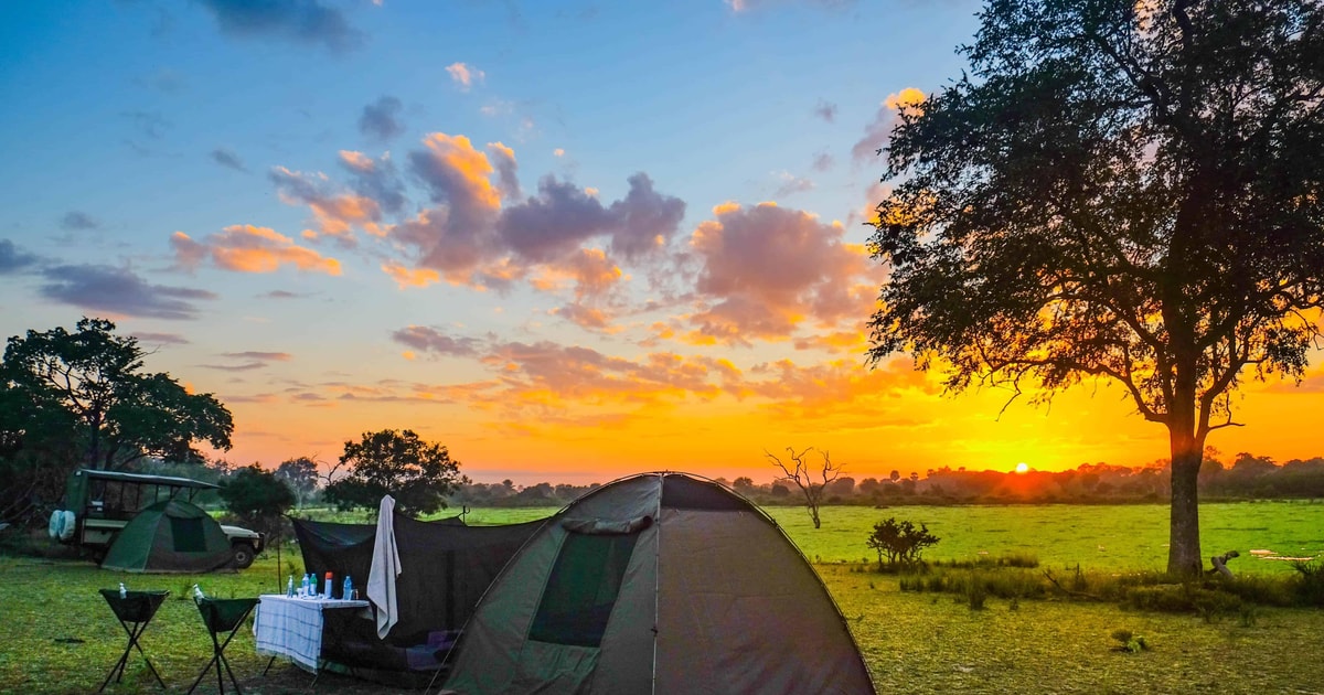 The Best Five Days Tanzania Budget Camping Safari tour GetYourGuide