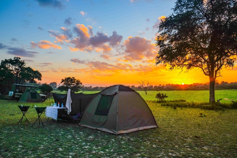 Die beste fünf Tage Tansania Budget Camping Safari Tour