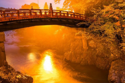 From Tokyo: Nikko UNESCO Sites Private English Guided Tour