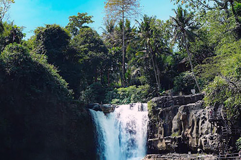 Bali: Horse Riding & Turtle Release Experience at Saba Beach Exclude: (not included horse riding tickets, lunch expense)