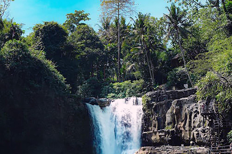 Bali: Horse Riding & Turtle Release Experience at Saba Beach Exclude: (not included horse riding tickets, lunch expense)