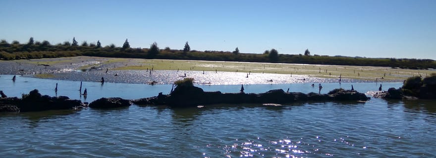 Tour en bateau de l'industrie ou de la nature | Bateau rapide