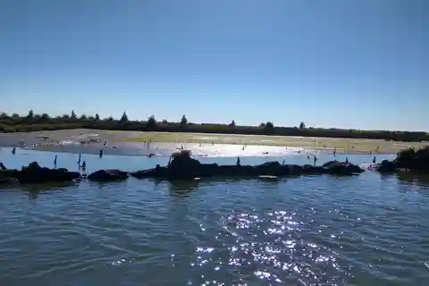 Passeio de barco pela indústria ou pela natureza | Lancha rápida