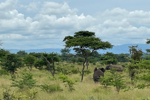 Kigali: 2-daagse safari in Akagera National Park met boottochtKigali: 2-daagse safari in het Akagera National Park met boottocht