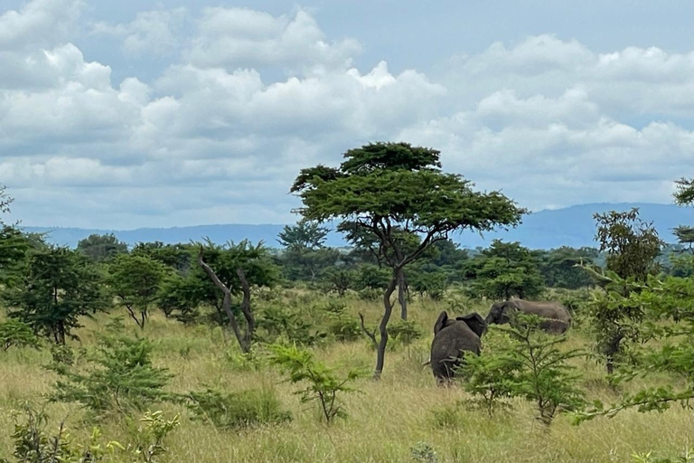 Kigali: 2-daagse safari in Akagera National Park met boottochtKigali: 2-daagse safari in het Akagera National Park met boottocht