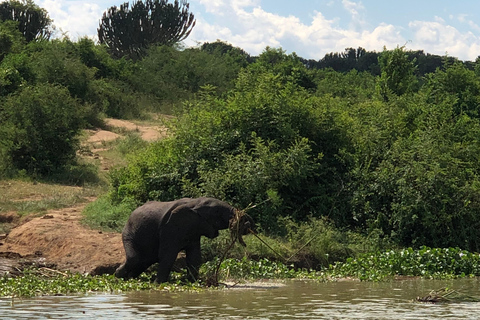 Ouganda : 3 jours de safari dans le parc national Queen Elizabeth