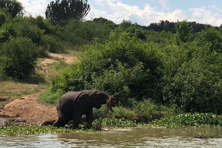 Ouganda : 3 jours de safari dans le parc national Queen Elizabeth