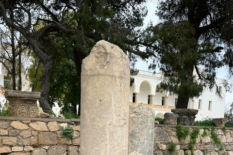 Tunis Express :Carthage, Sidi Bou Saïd & Médina with GENZ