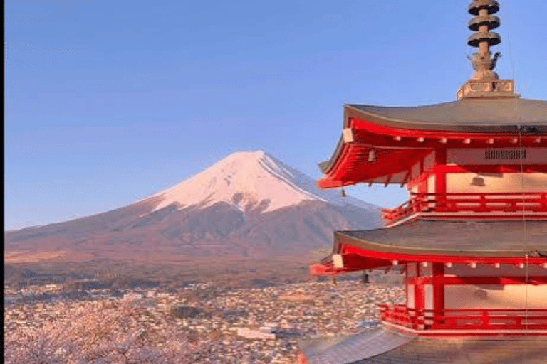 From Tokyo : Mount Fuji Private Tour With English Guide