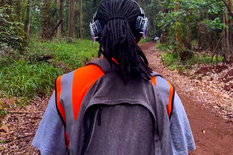 Karura Forest: Audio Film Trek & Picnic Paint