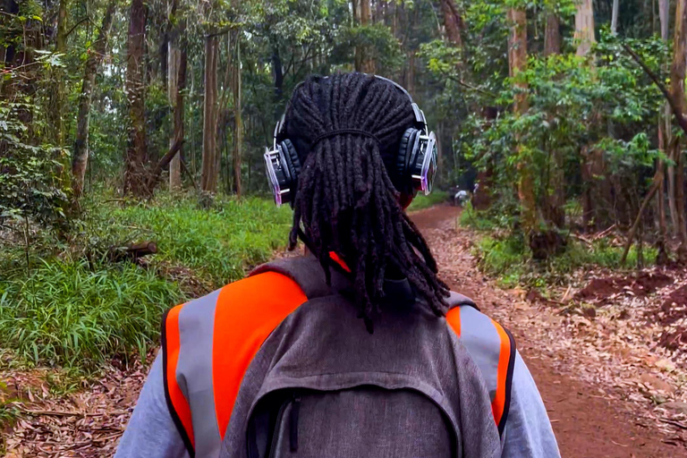 Karura Forest: Audio Film Trek & Picnic Paint