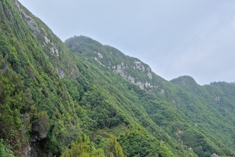 Madeira: Porto da Cruz naar Machico Wandeltocht met Transfer