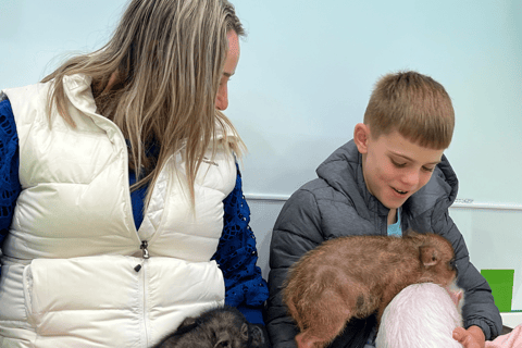 原宿：融合传统与流行文化的家庭之旅原宿：适合全家人体验的传统与流行文化的融合