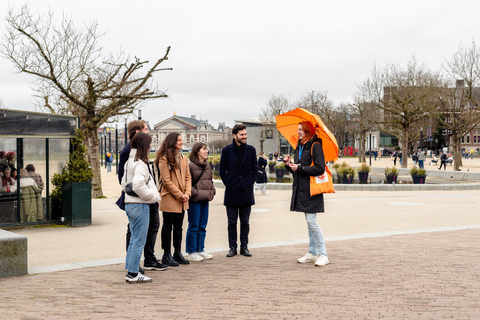 Amsterdam: tour guidato del Museo Van GoghGuida dal vivo inglese