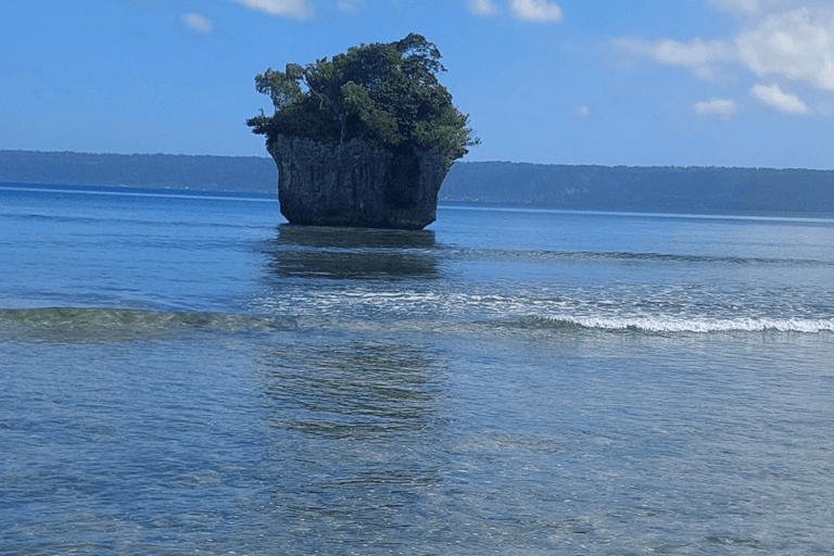 Deportes acuáticos Port Vila: Aventura de snorkel en el Triple ArrecifePort Vila: Aventura de snorkel en el Triple Arrecife