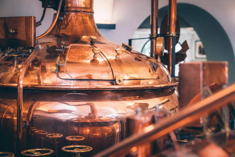 Brewery tour at Paulaner Bräuhaus Munich with beer tasting & snacks