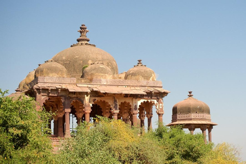 From Jaipur: Same Day Ranthambore Tiger Safari Adventure