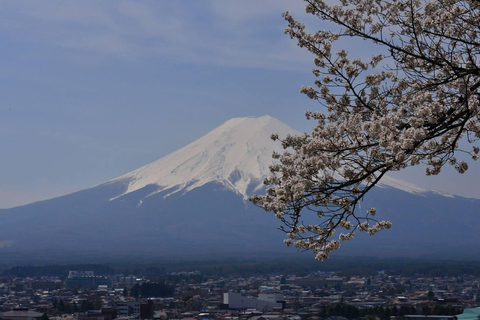 Da Tokyo: Monte Fuji Tour di un giorno personalizzato privatoTour privato del Monte Fuji completo e personalizzato con servizio di prelievo in hotel