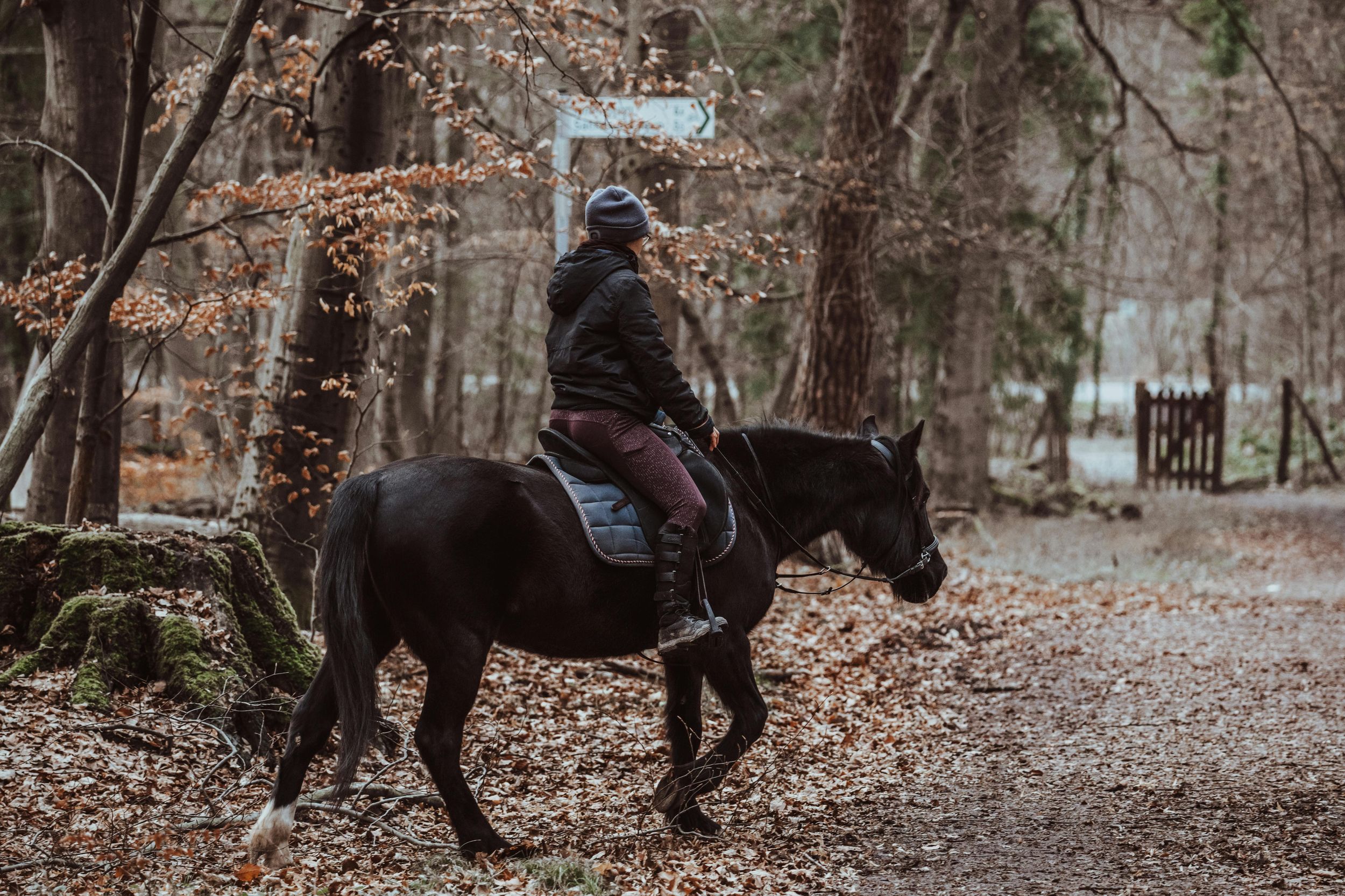 Grimaud: Reitausflug in der Nähe der Maures
