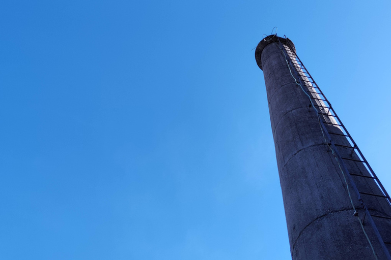 Kyoto: Fushimi Sake Brewery Tour - 18 Tastings in 2.5 Hours Group Tour