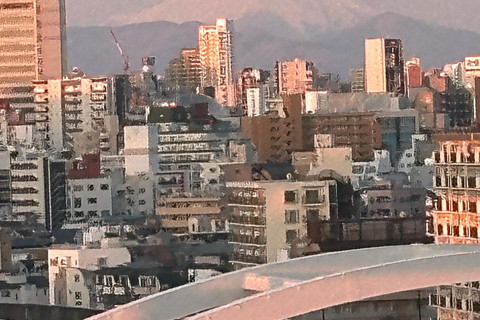 Mt Fuji Sightseeing Private tour with English Speaking Guide